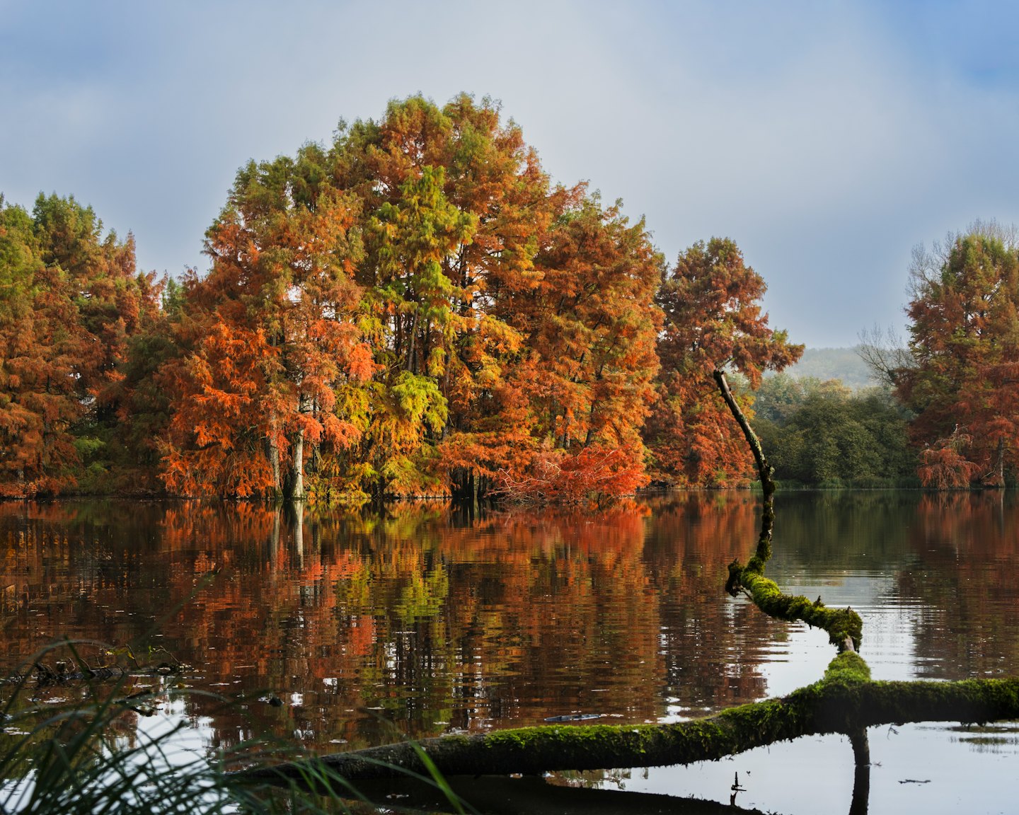 Kleurrijke herfstbomen weerspiegelen in het rustige water van het meer.